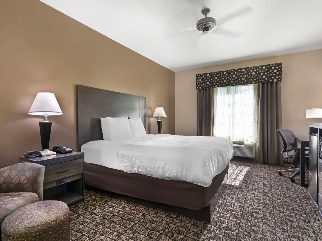 De Berry酒店住宿-Best Western Carthage Inn & Suites