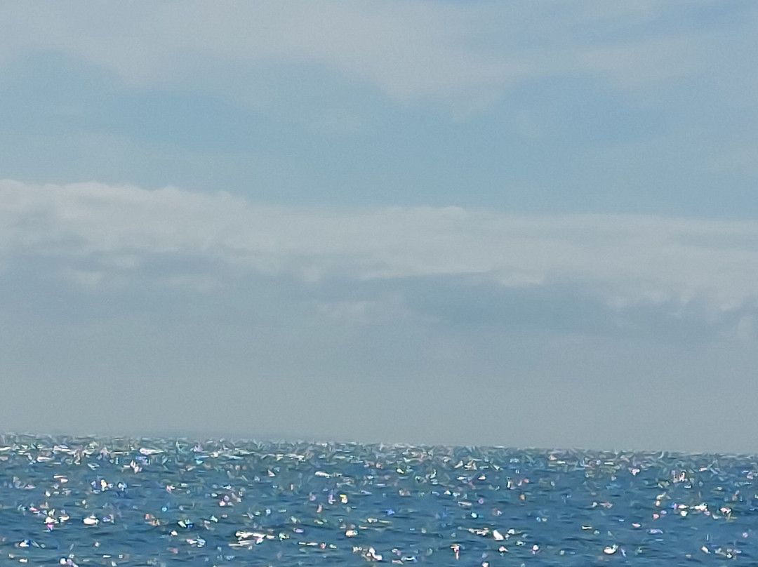 Dover Sea Safari-多佛必去景点