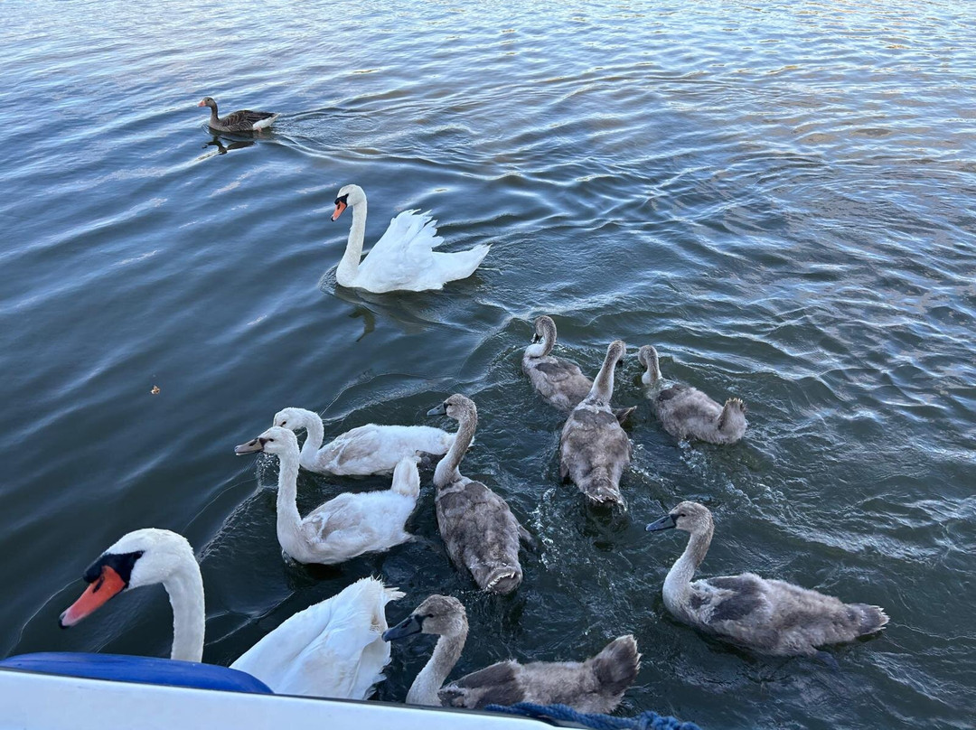 The Broads National Park-诺威奇必去景点