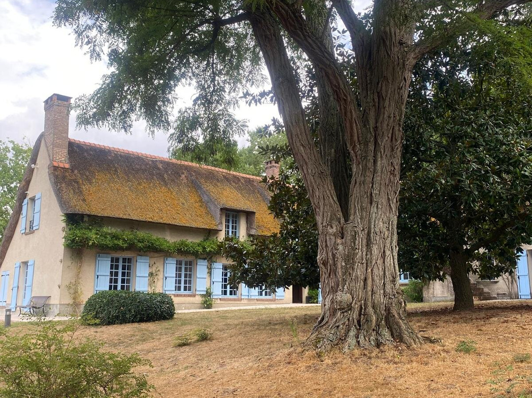 Jean Monnet Home-Bazoches-sur-Guyonne必去景点