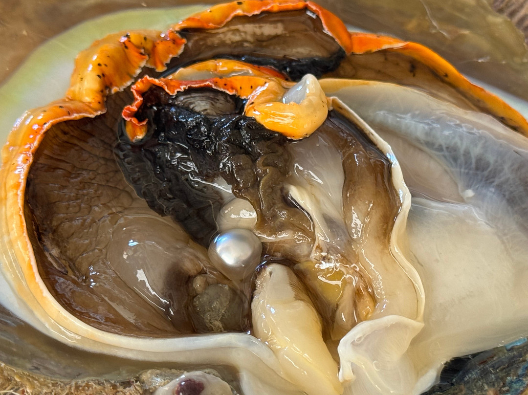Cygnet Bay Pearl Farm Tours-Dampier Peninsula必去景点