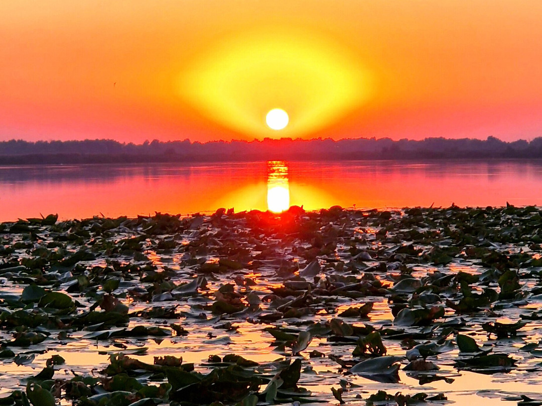 Tours in Delta with John-Crisan必去景点