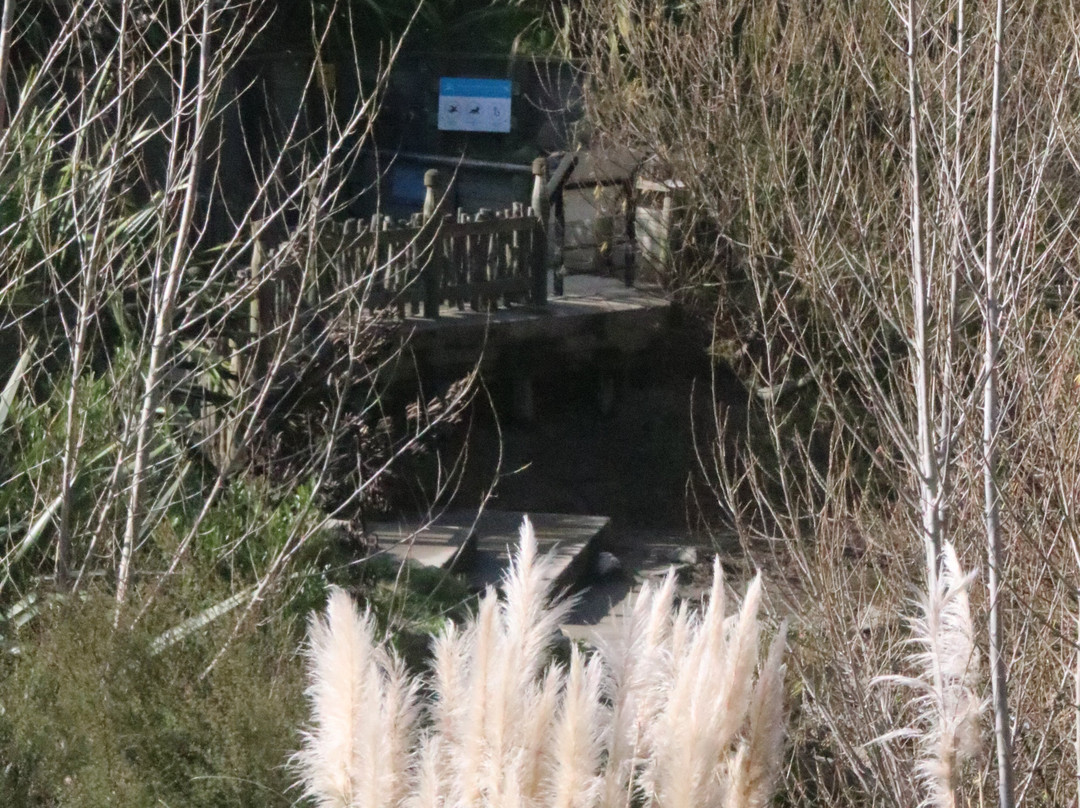 Urban Eels Palmerston North-北帕墨斯顿必去景点