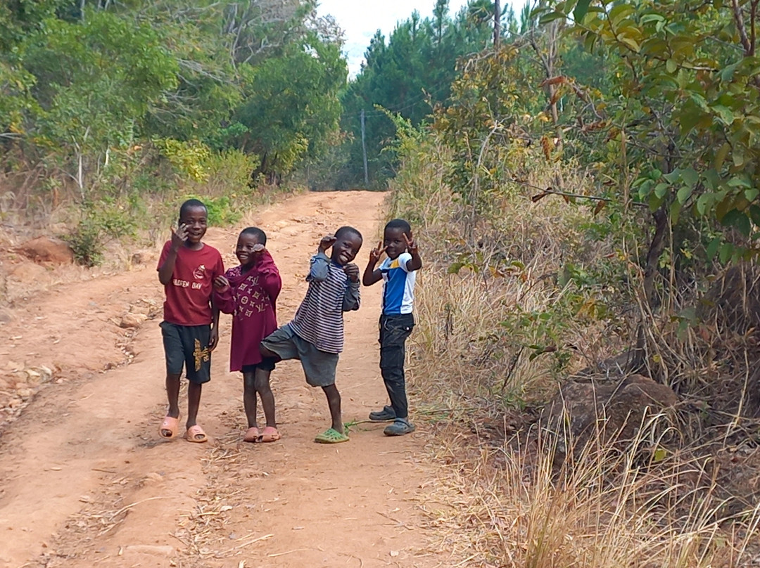 Mulanje Mountain Tour Guide-姆兰杰必去景点