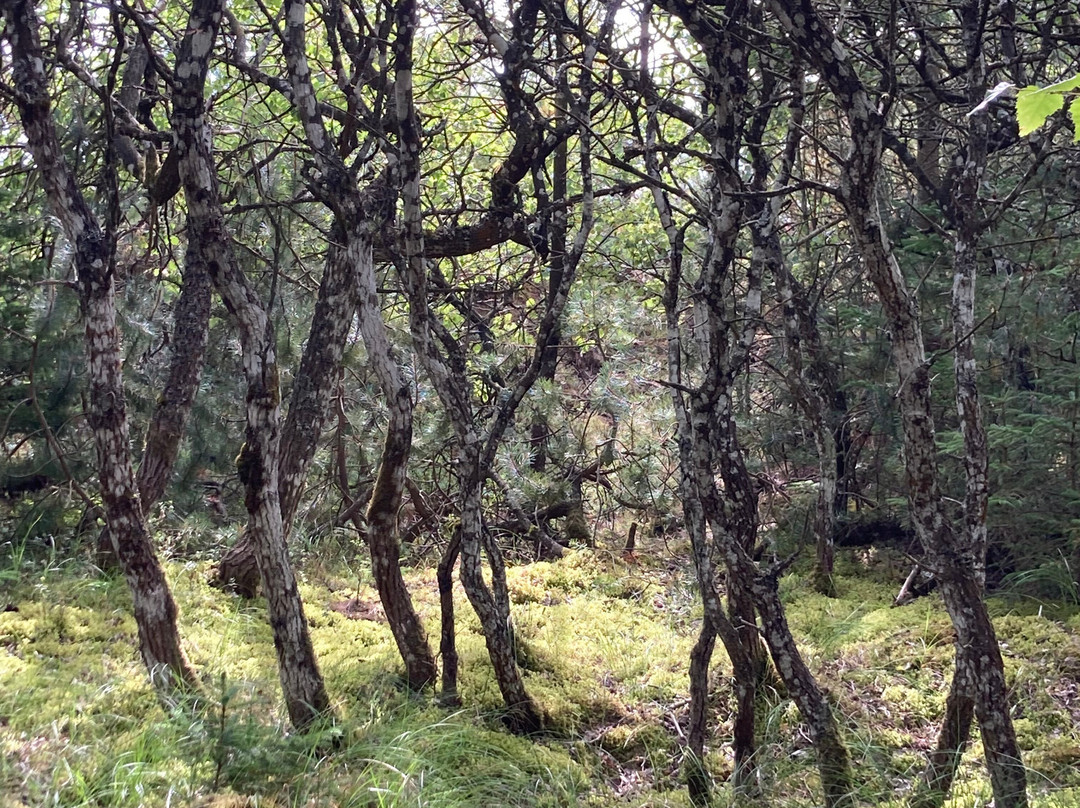 Thy National Park-Hurup必去景点