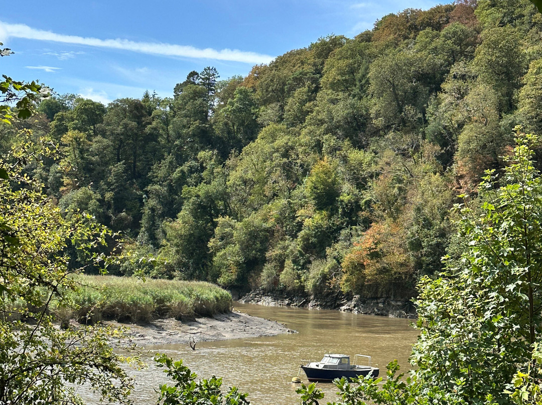 The Tamar Valley Line-Calstock必去景点