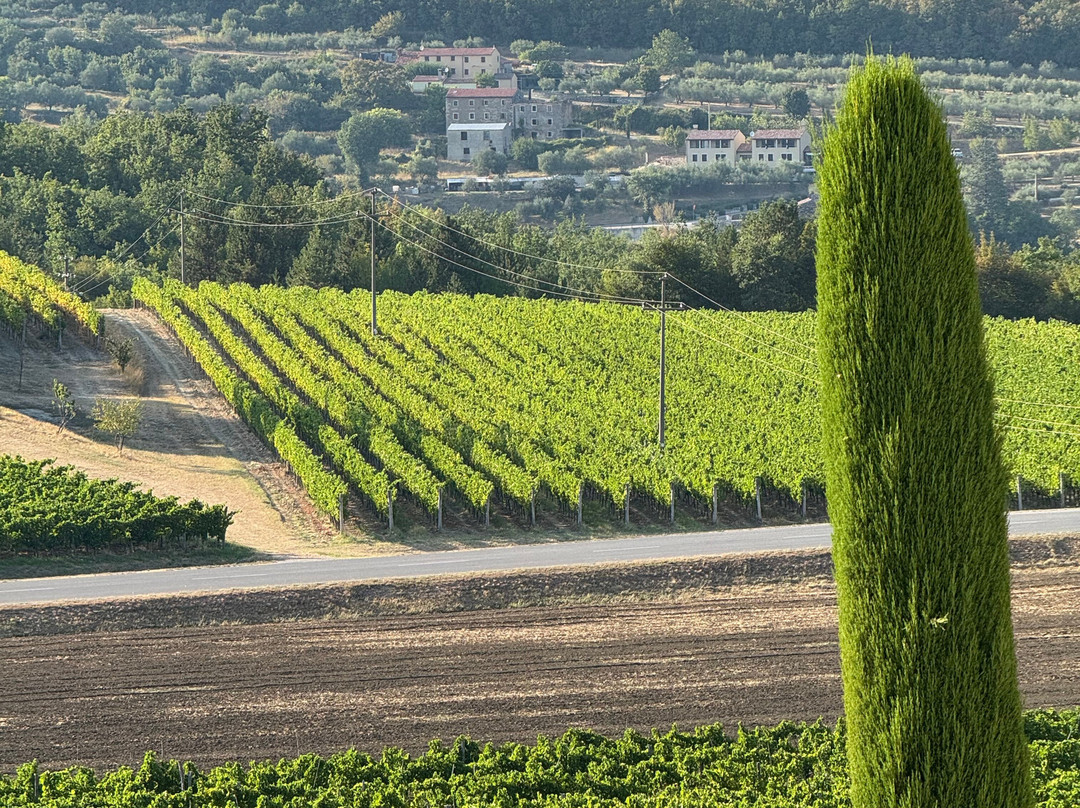 Kabola Winery-Momjan必去景点