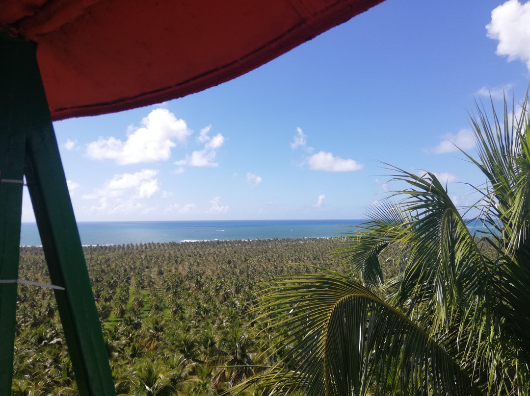 Mirante do Gunga-Roteiro必去景点