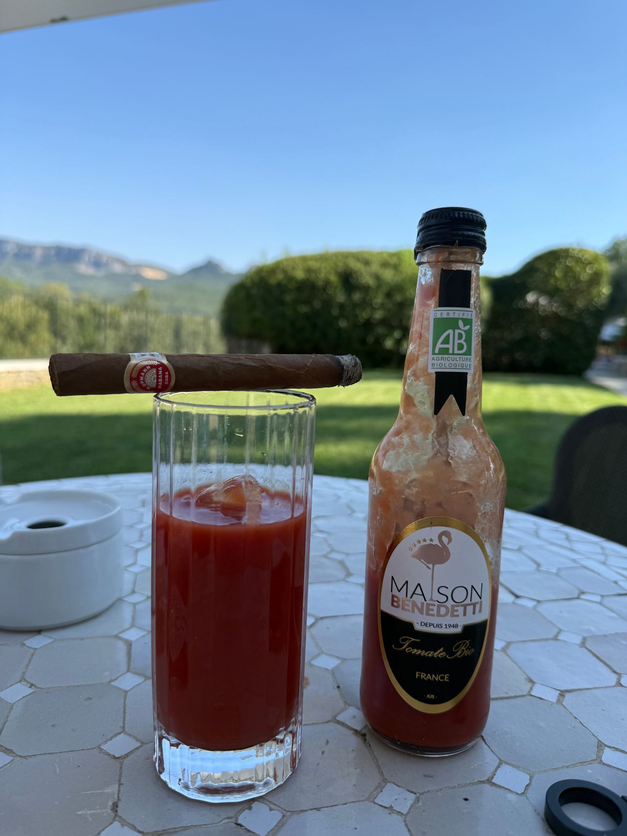 奥利维耶萨莱特酒庄酒店-旅行者