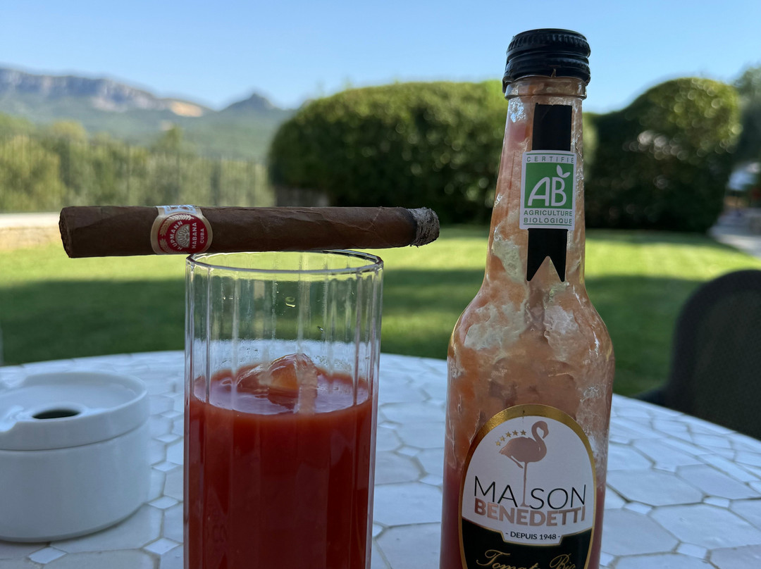 奥利维耶萨莱特酒庄酒店主图