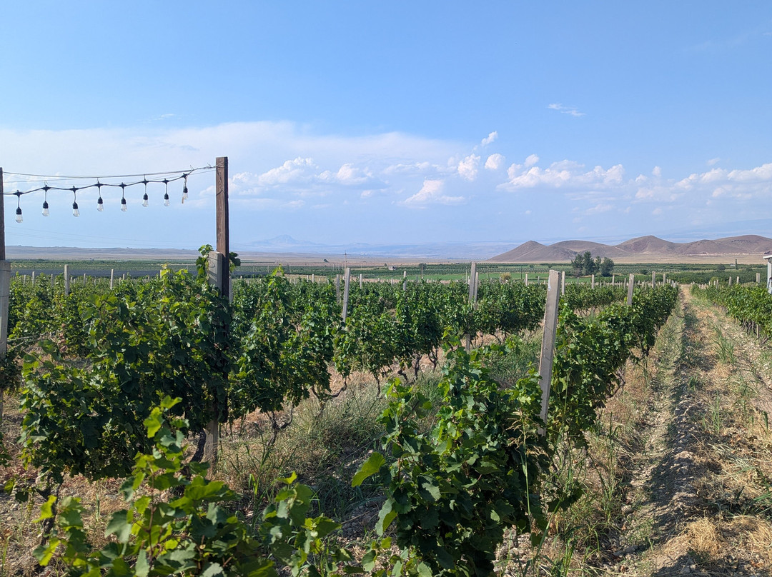 Voskeni Wines-Araks必去景点