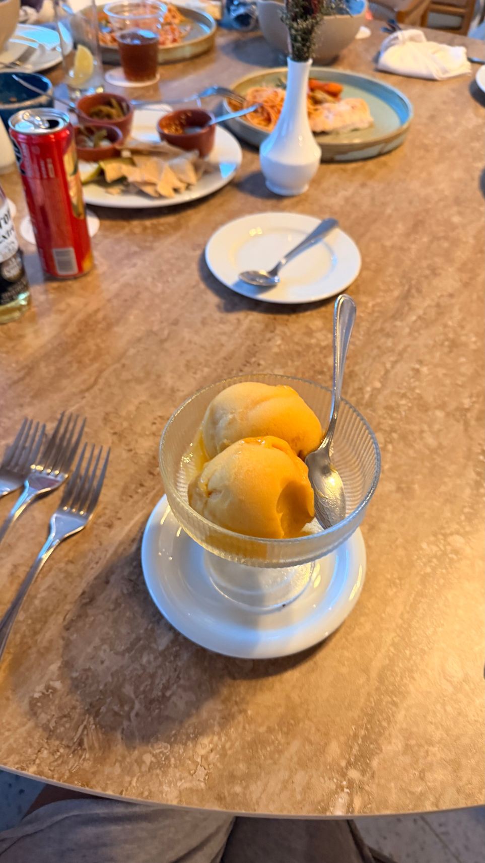 阿卡普尔科嘉年华美式别墅酒店-旅行者