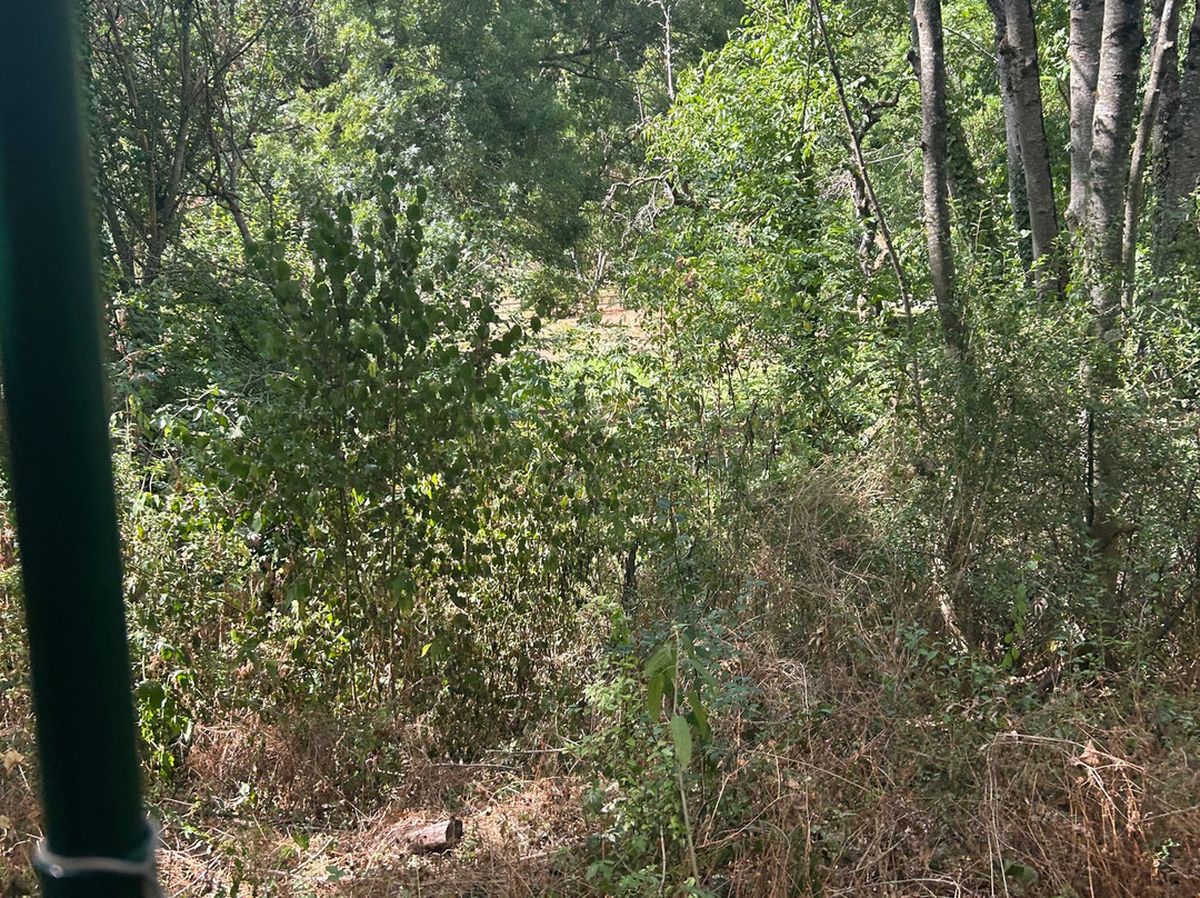 Vélorail De La Vallée De La Juine-Saclas必去景点