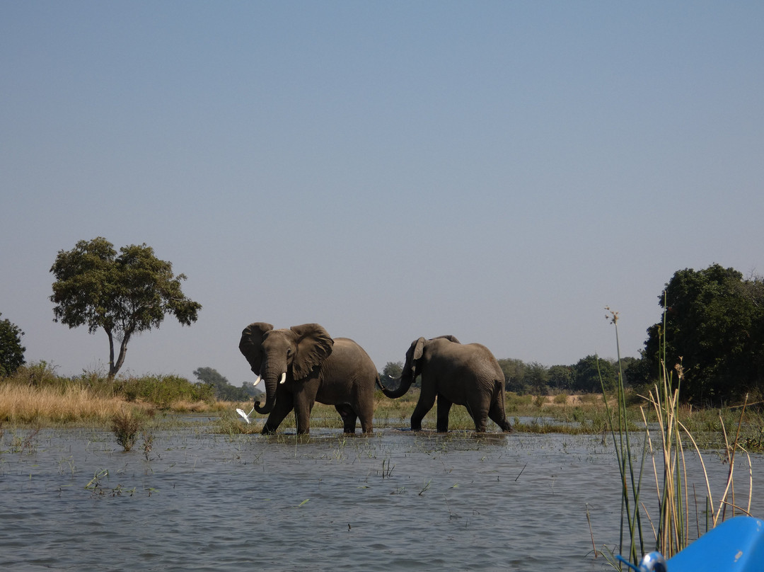 River Horse Safaris-Chirundu必去景点
