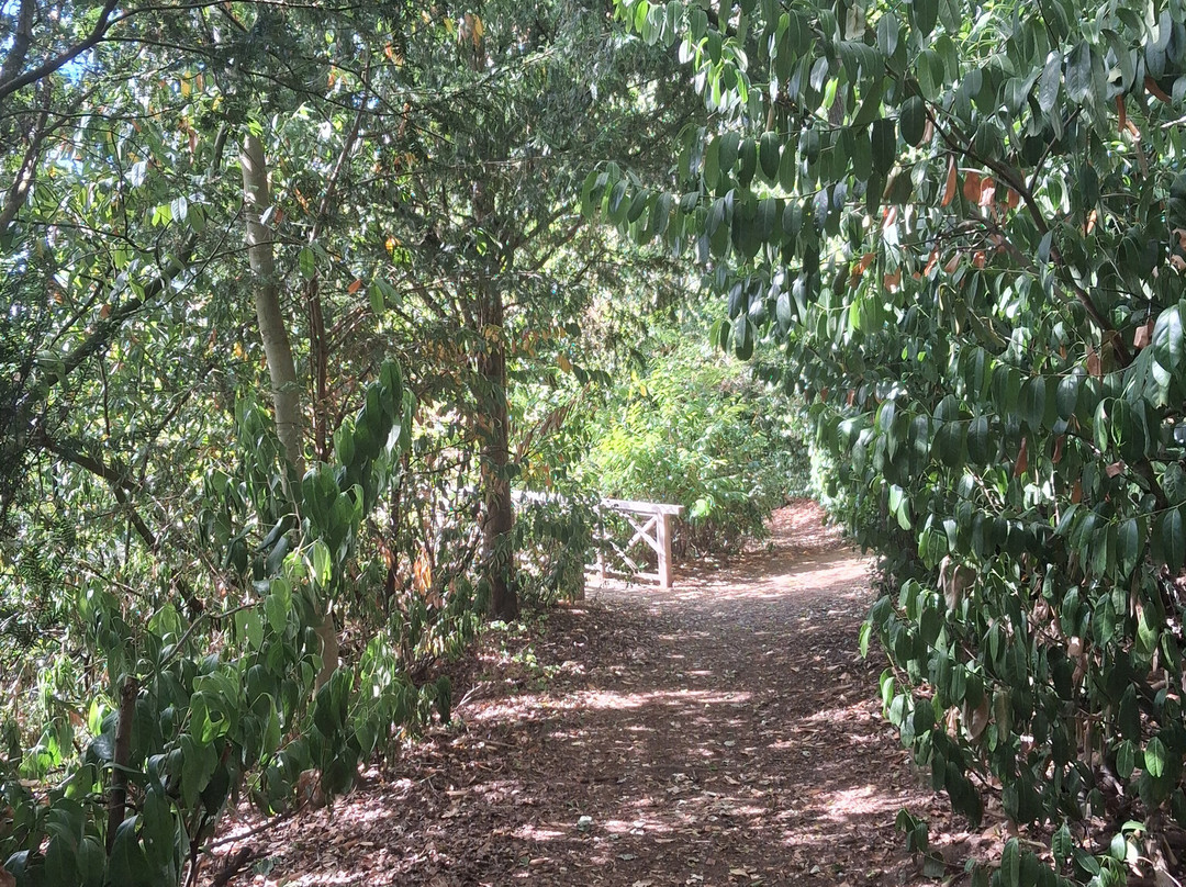 Stoneleigh Abbey-凯尼尔沃思必去景点