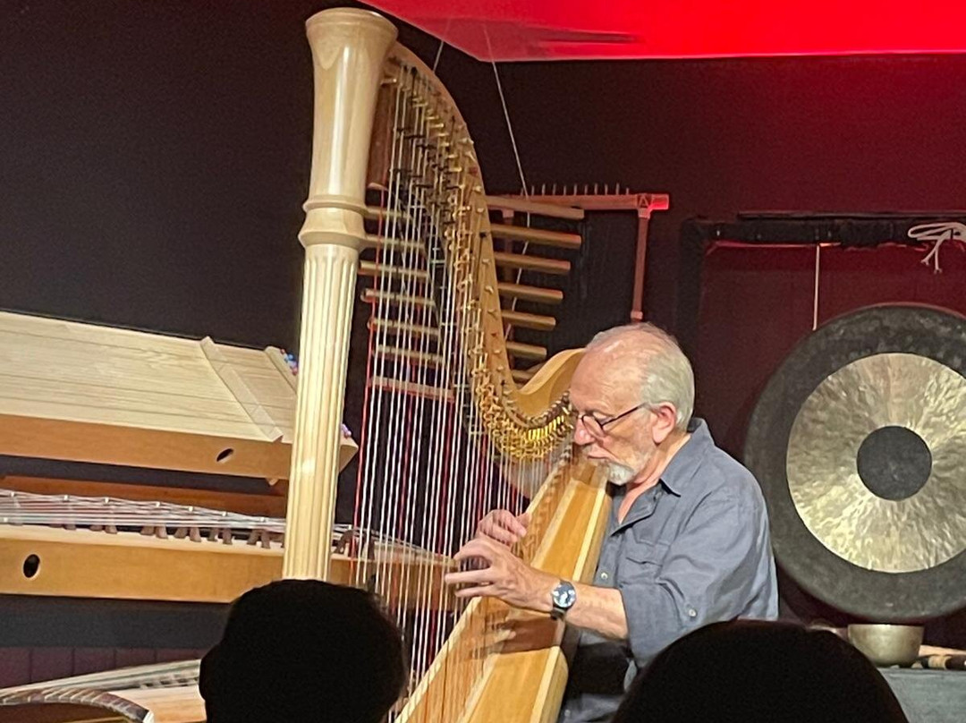 Luc Vanlaere Harpist - Harp Museum-布鲁日必去景点
