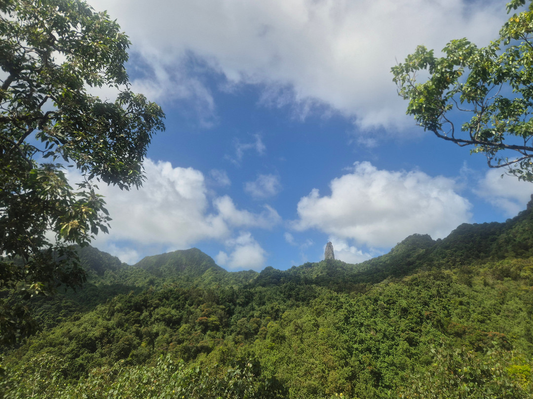 Raro Mountain Safari Tour-拉罗汤加必去景点