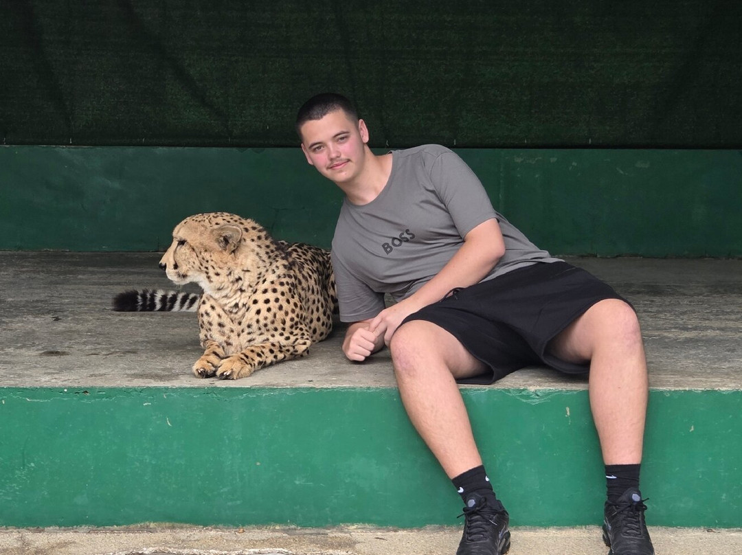 Tiger Kingdom Phuket-卡图必去景点