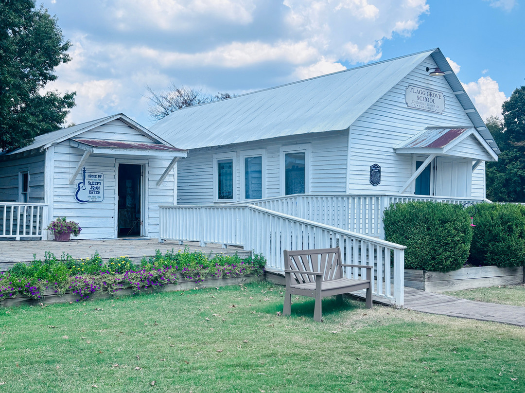 Tina Turner Museum  @ Flagg Grove School-Brownsville必去景点