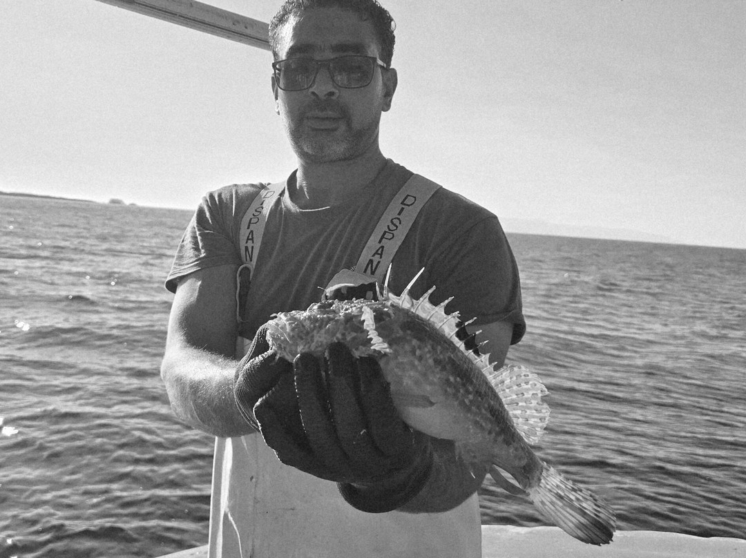 Fishing Tourism Kefalonia Michalis-Svoronata必去景点