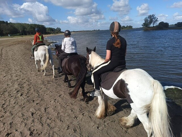 PaardenRijk