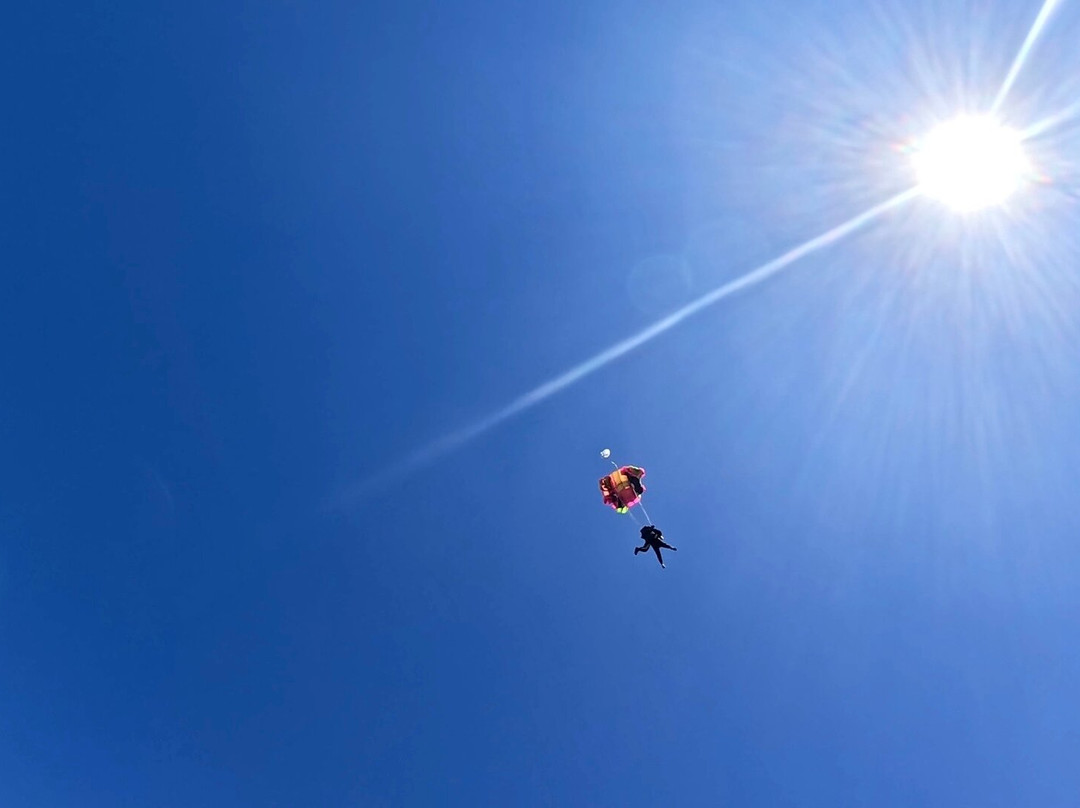 Music City Skydiving-Waverly必去景点