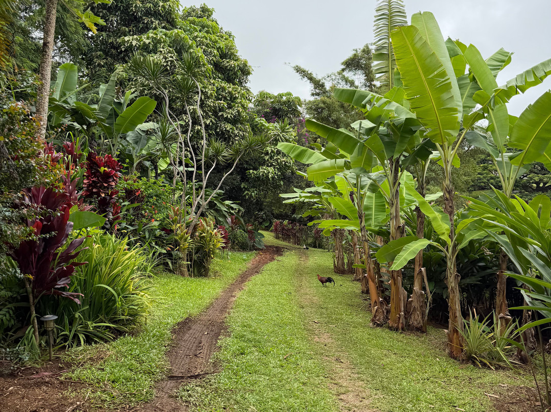 Leilani Farm Sanctuary-海库必去景点
