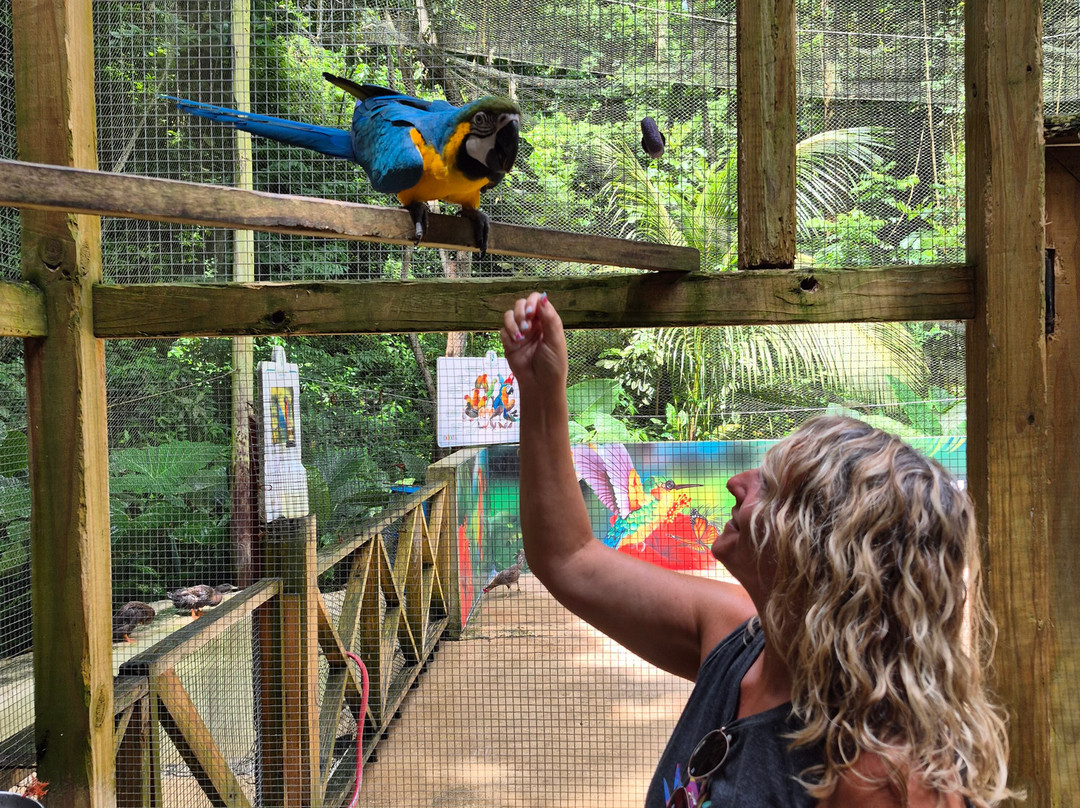 Harrison's Cave Eco-Adventure Park-Saint Thomas Parish必去景点