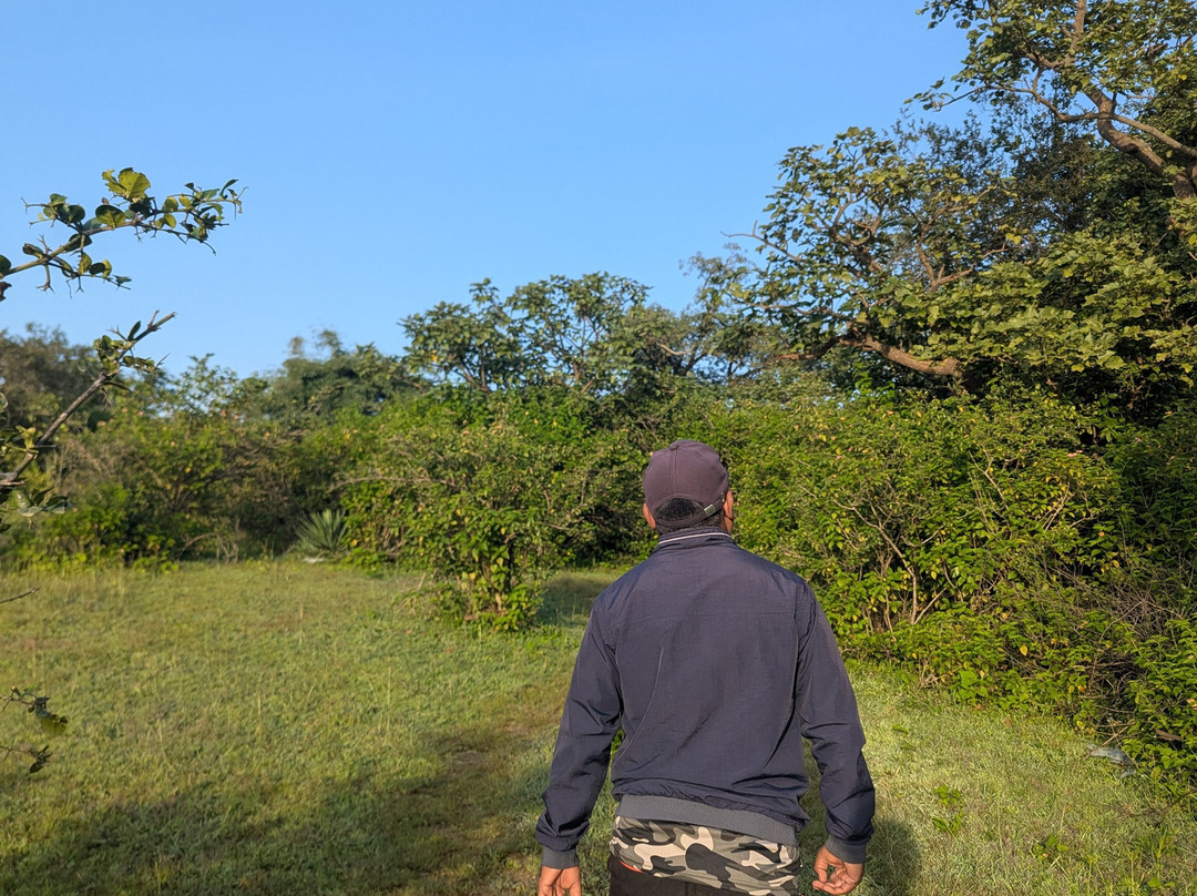 Hiking & Trekking Company Mount Abu-阿布山必去景点