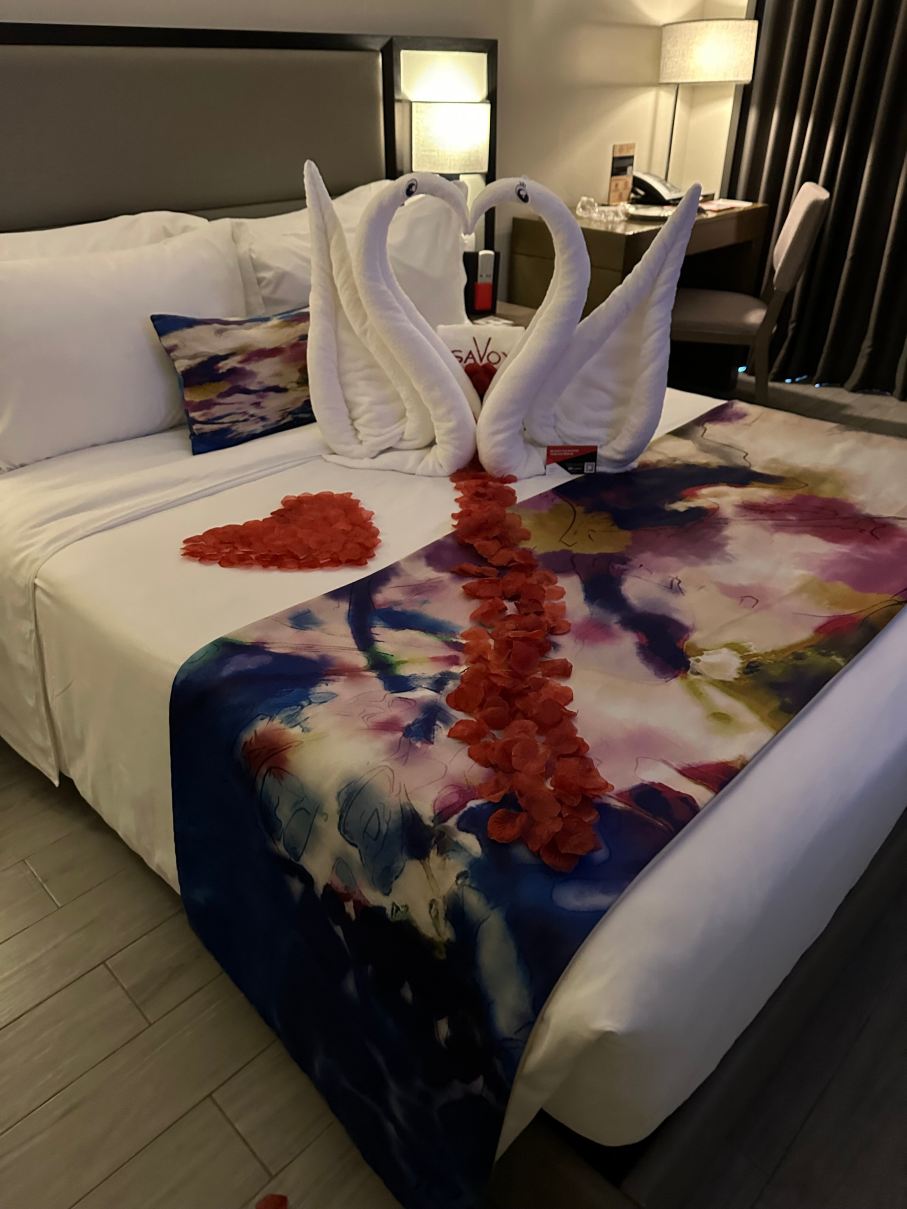 马尼拉萨沃伊酒店，靠近尼诺伊·阿基诺国际机场3号航站楼-旅行者