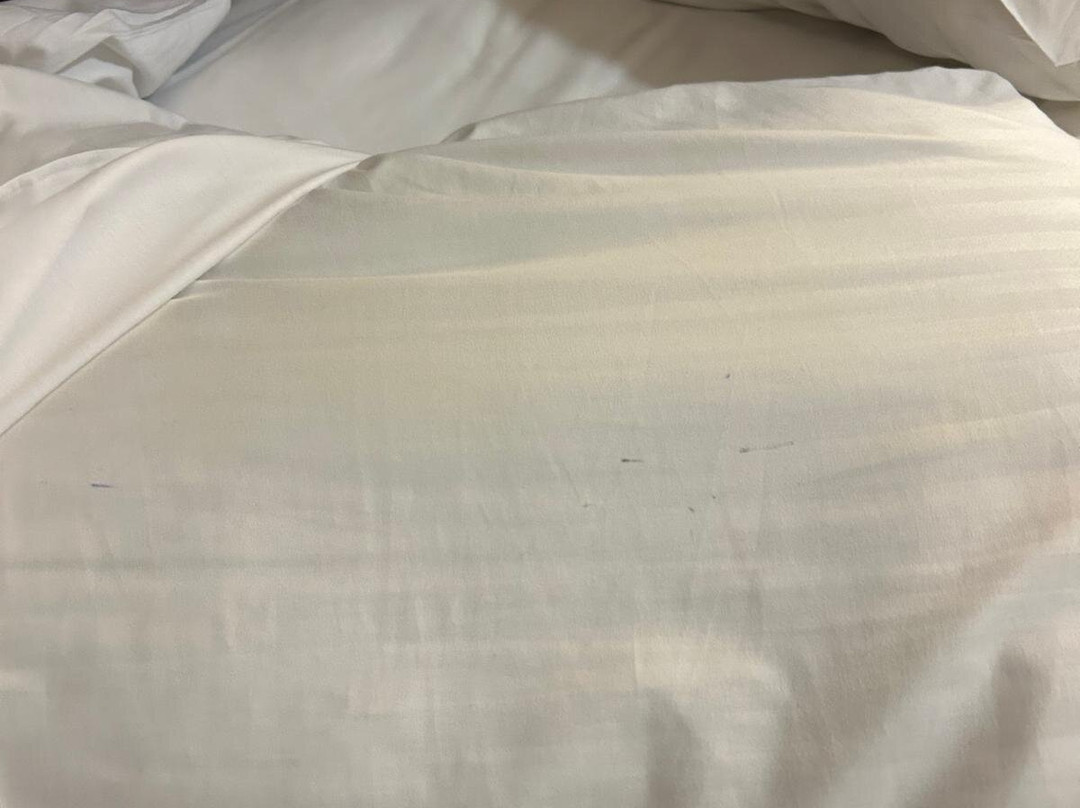麦克唐纳·基尔海法庭主图