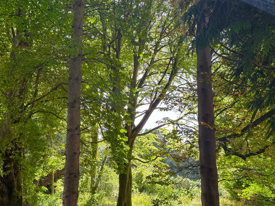 Arbigland House and Gardens-邓弗里斯必去景点