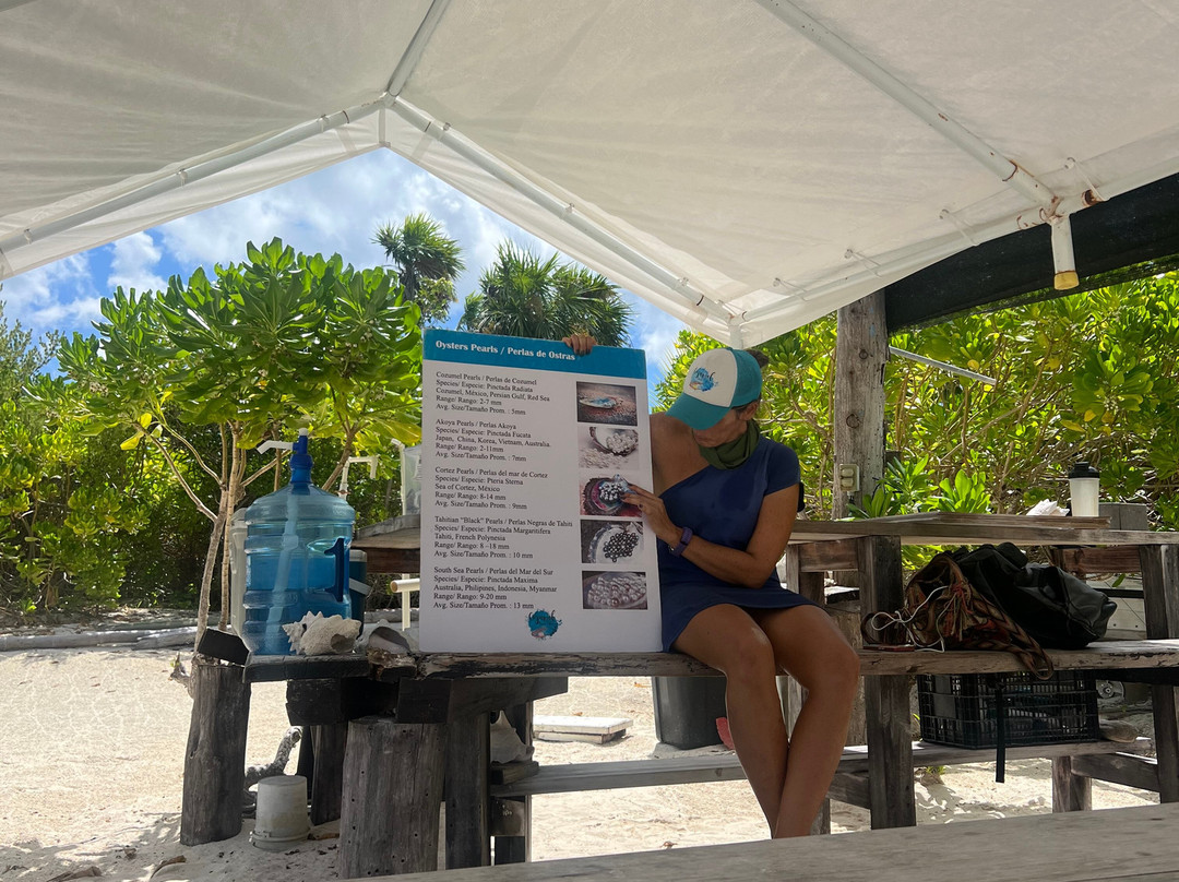 Cozumel Pearl Farm-考祖梅必去景点
