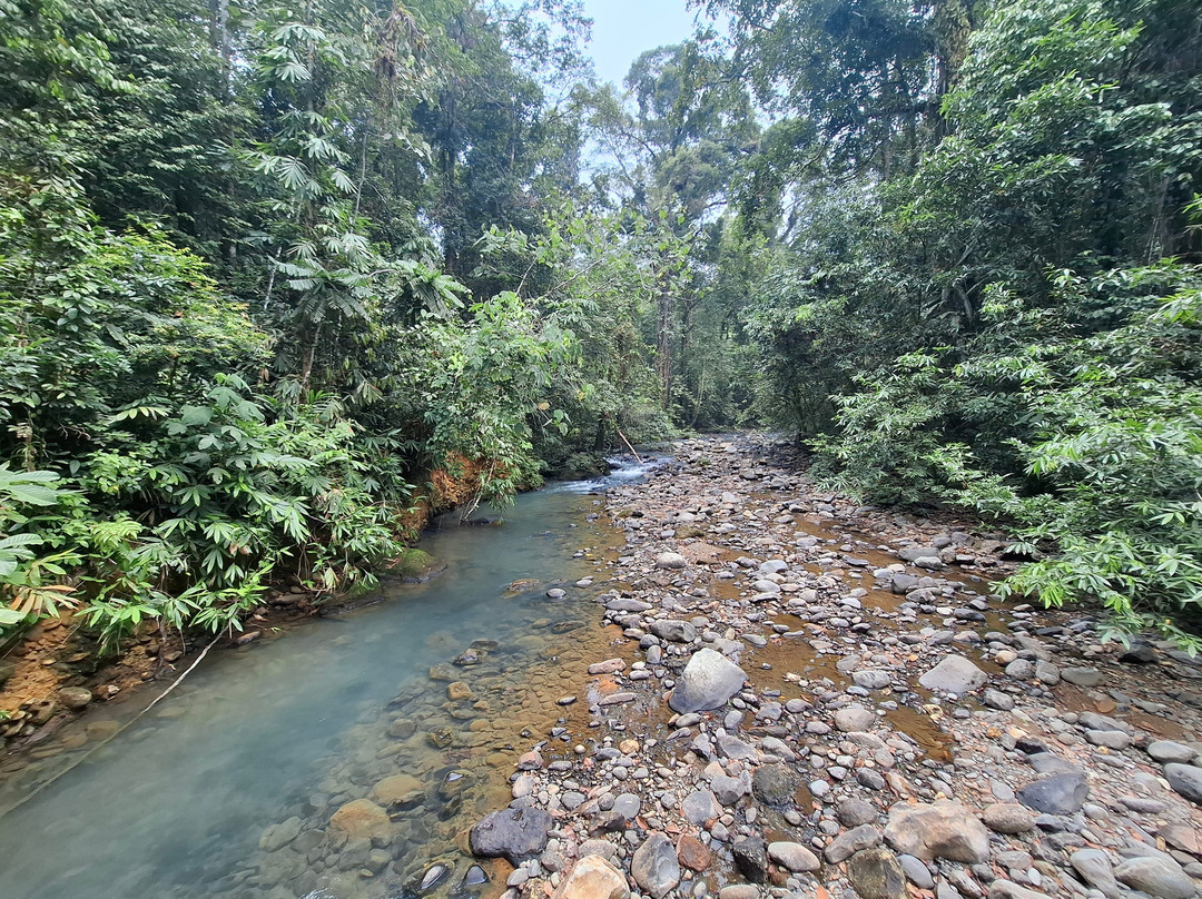 1StopBorneo Wildlife-斗湖必去景点