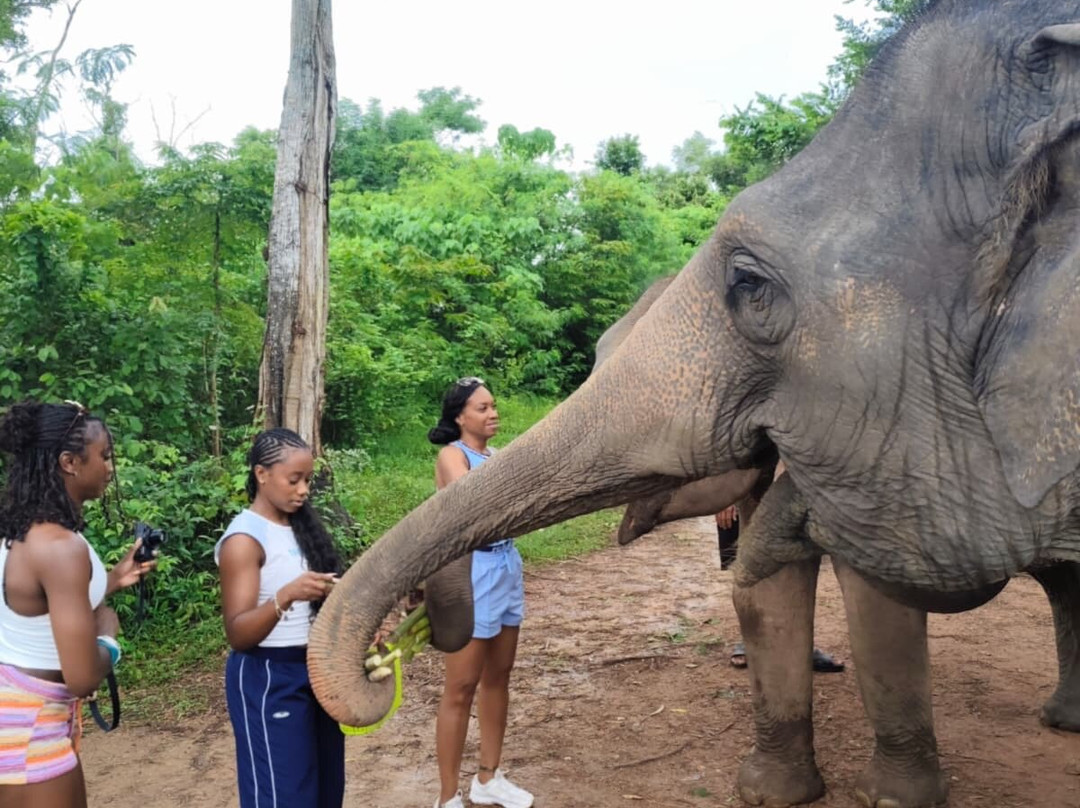 The Lake Phuket Elephant Home-Thep Krasatti必去景点