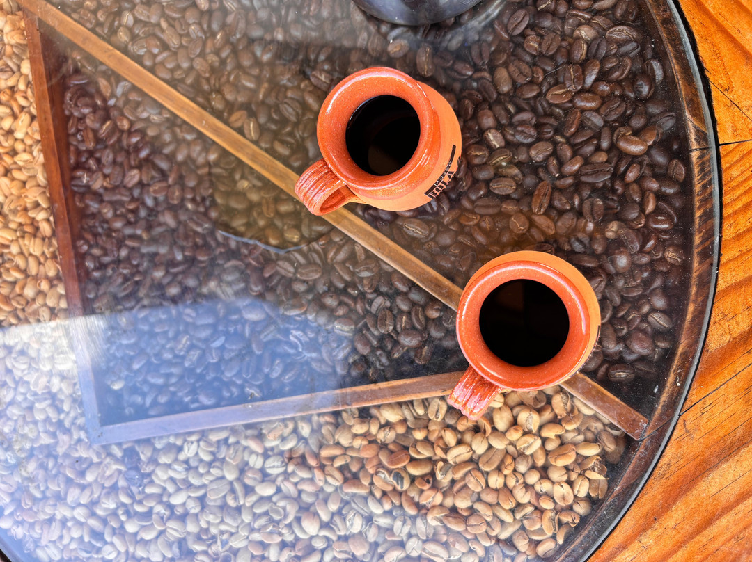 Museo Bola De Oro Finca Roma