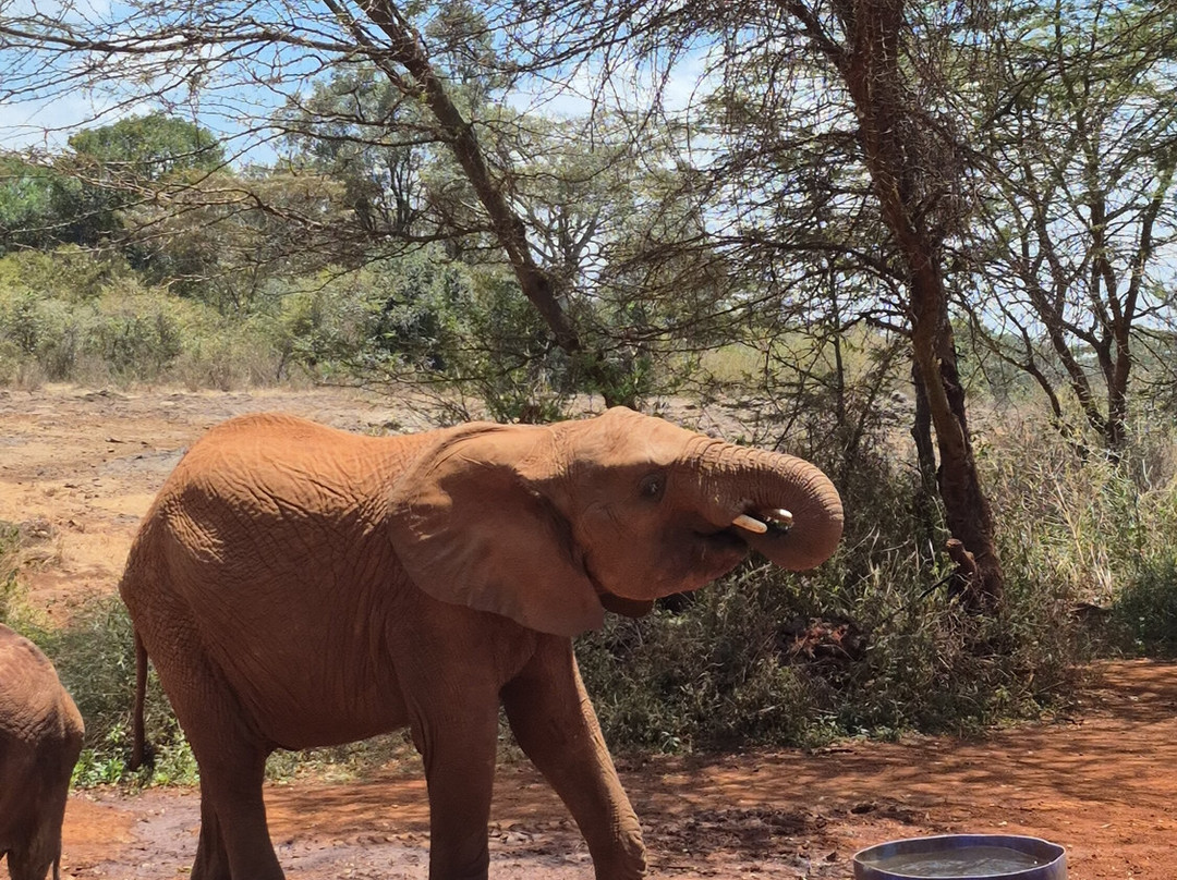 On Adventure Africa-Kajiado必去景点