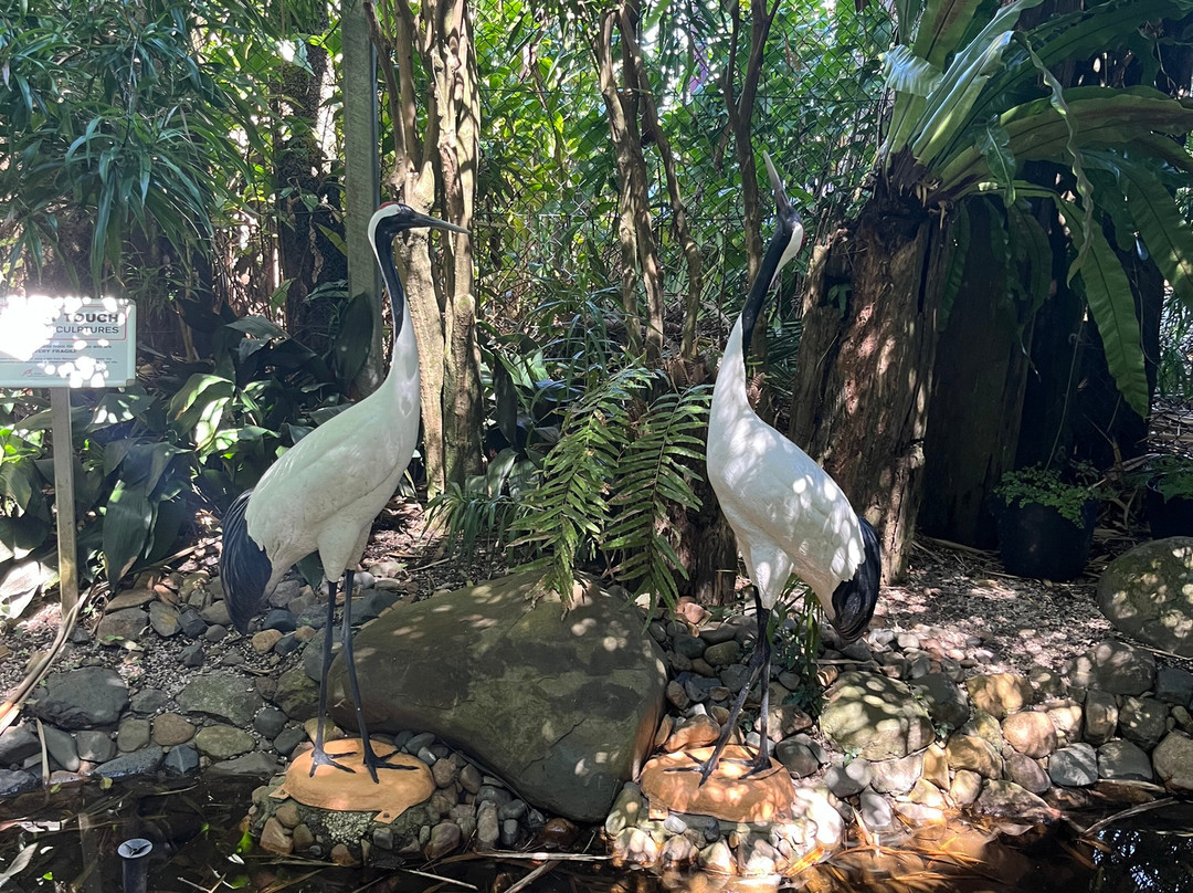 Mackay Regional Botanic Gardens-Mackay必去景点