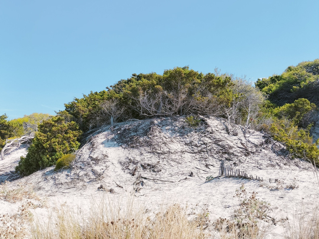 Plage de Saleccia-Santo-Pietro-di-Tenda必去景点