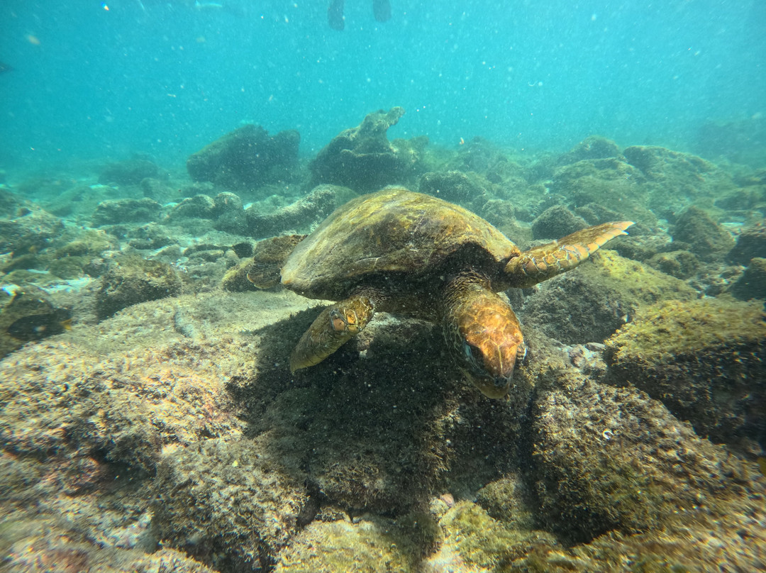 Go Galápagos Tours-Baltra必去景点