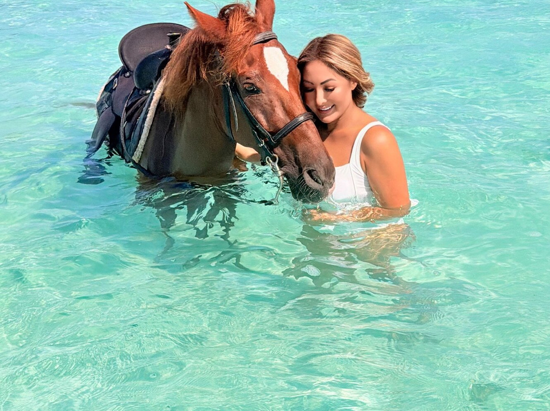 Provo Ponies-Long Bay Hills必去景点