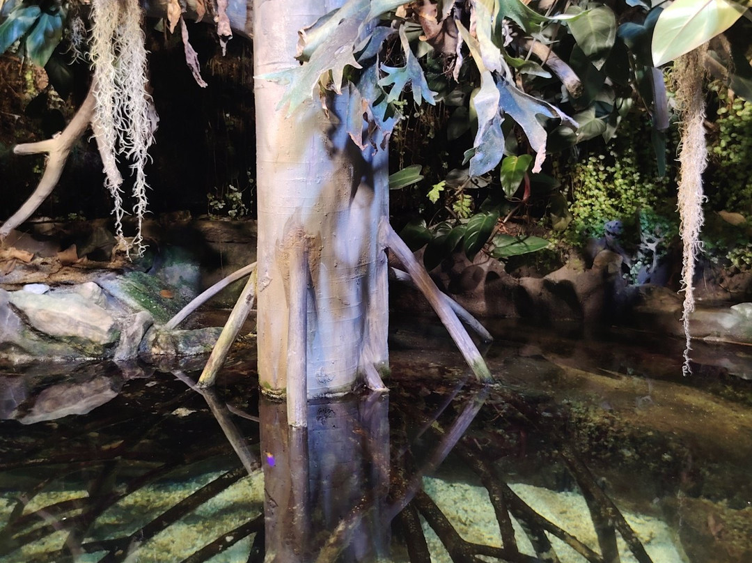 Grand Aquarium-圣马洛必去景点