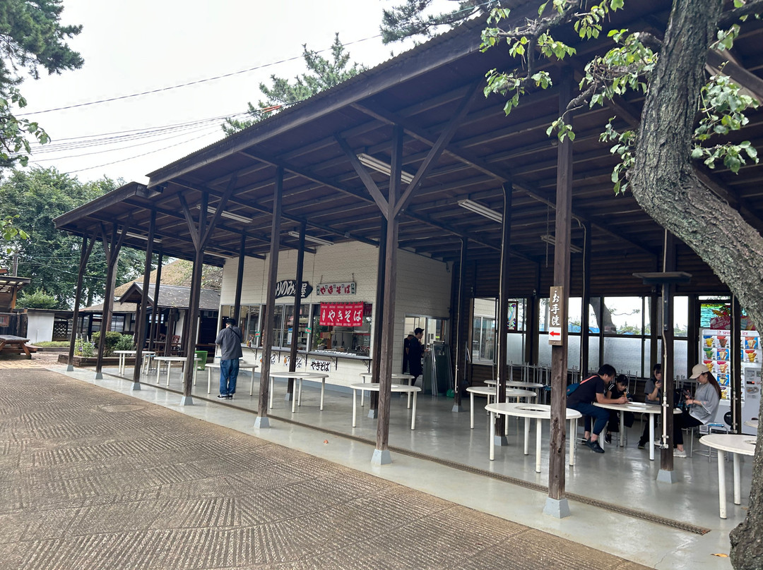 Arinomi Course-市川市必去景点