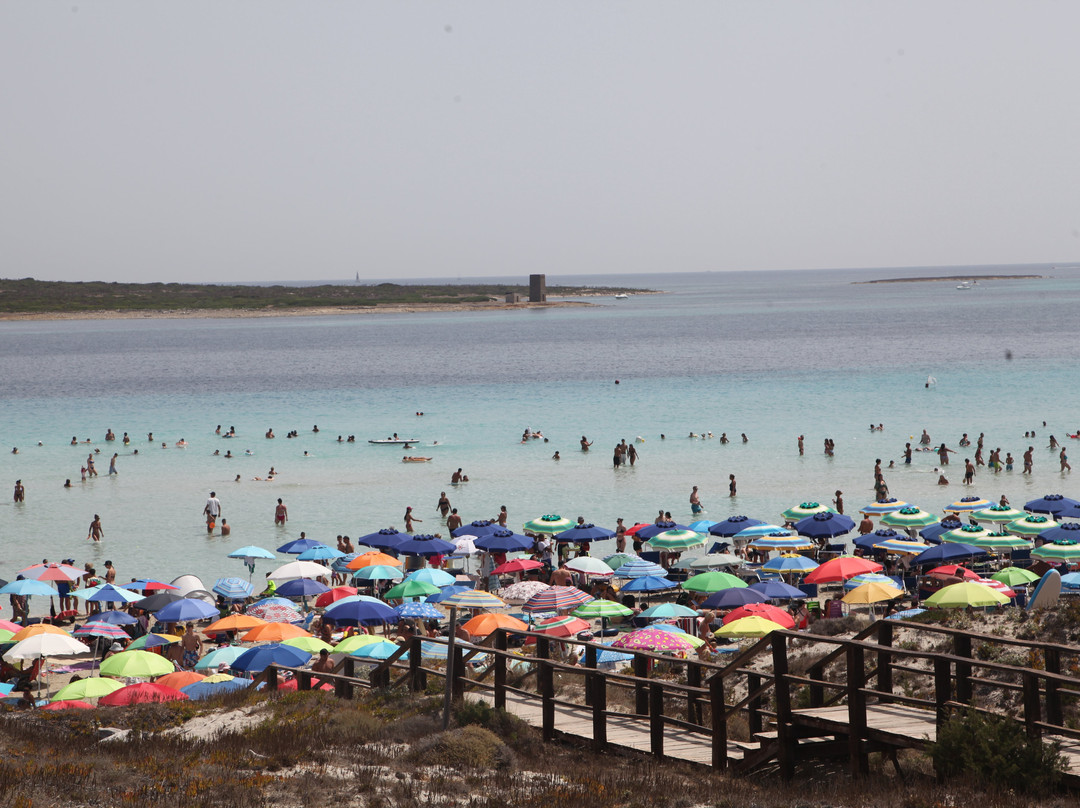 La Pelosa Beach-斯廷蒂诺必去景点