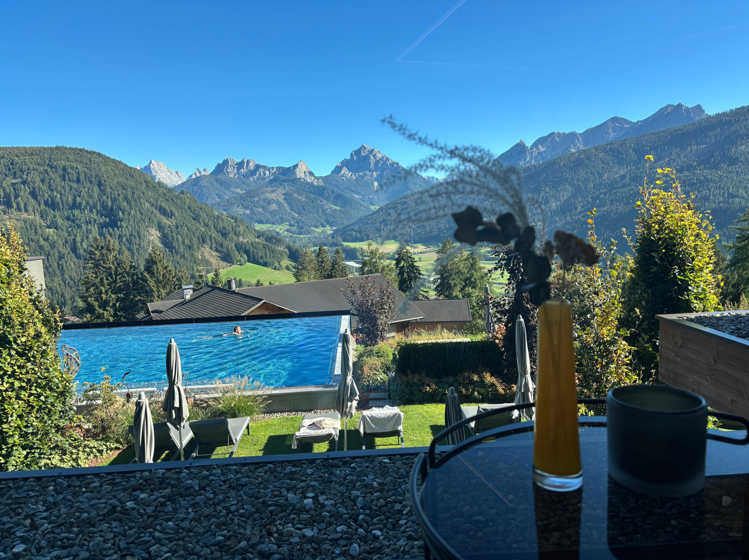 Hotel Alpen Tesitin主图