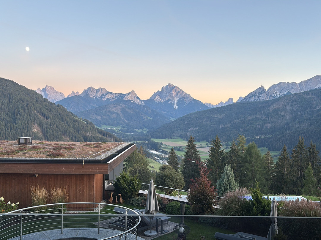 Hotel Alpen Tesitin主图