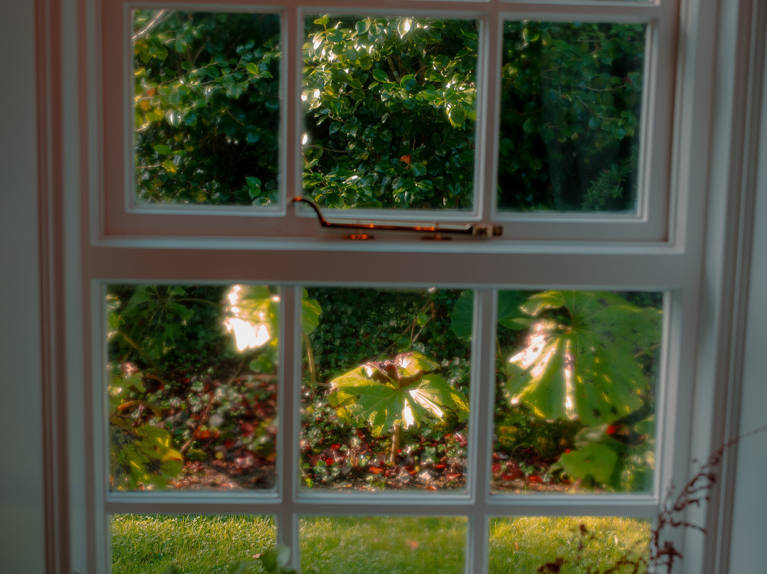 Mount Congreve Gardens-County Waterford必去景点