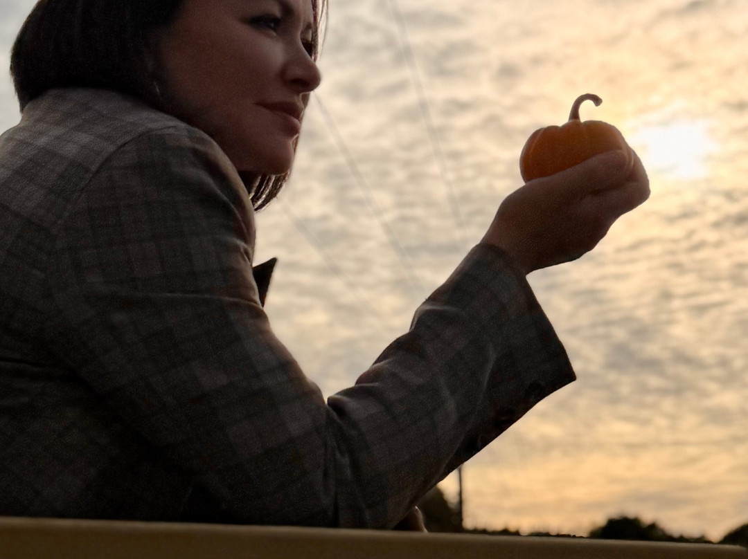 Tulleys-Turners Hill必去景点