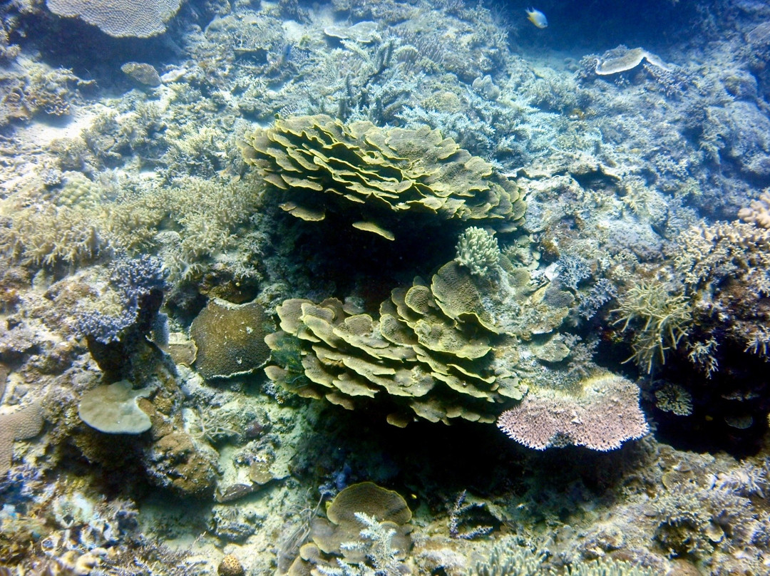 斐济沃里沃里海滩度假村主图