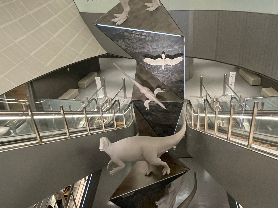Fukui Prefectural Dinosaur Museum-胜山市必去景点